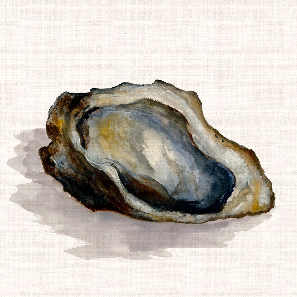 Oyster art print by Jacob Q for $57.95 CAD