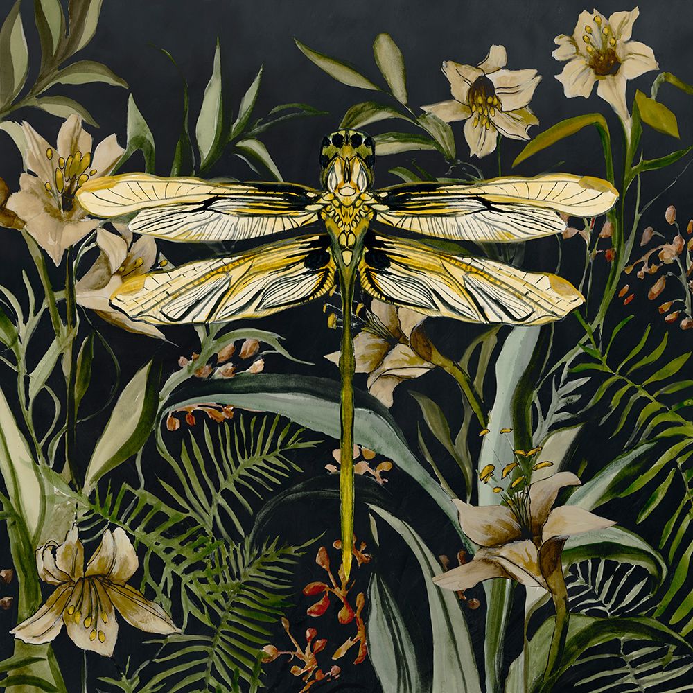 Whispers of the Dragonfly art print by Jacob Q for $57.95 CAD