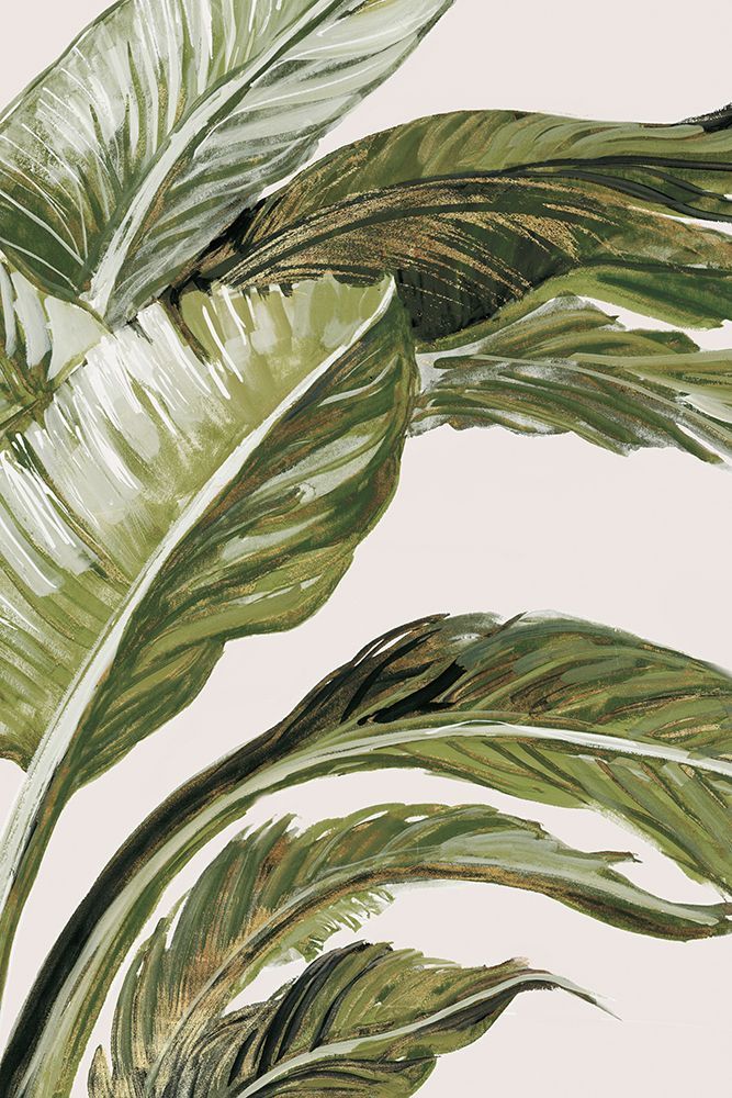 Green Tropical Hues art print by Jacob Q for $57.95 CAD
