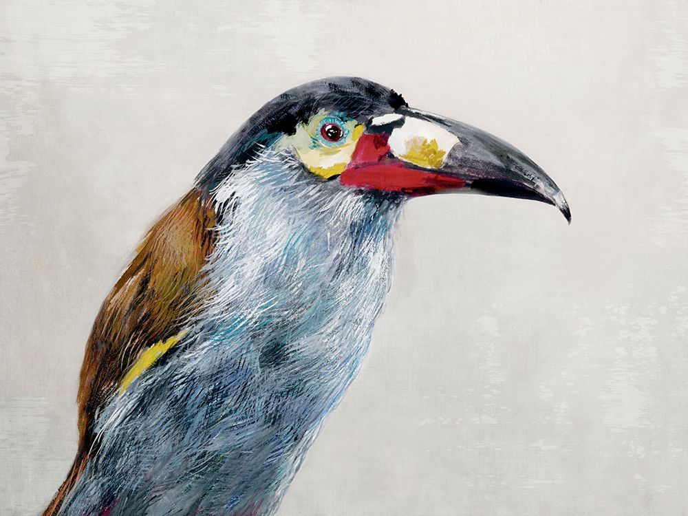 Black billed Mountain Toucan art print by Jacob Q for $57.95 CAD