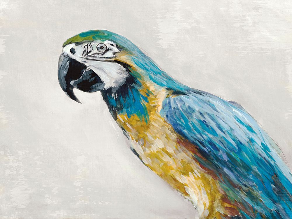 Polly art print by Jacob Q for $57.95 CAD