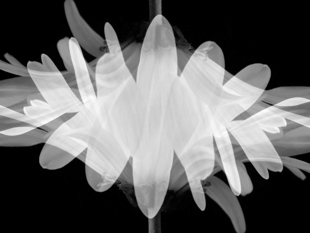 Superimposition art print by Jim Christensen for $57.95 CAD