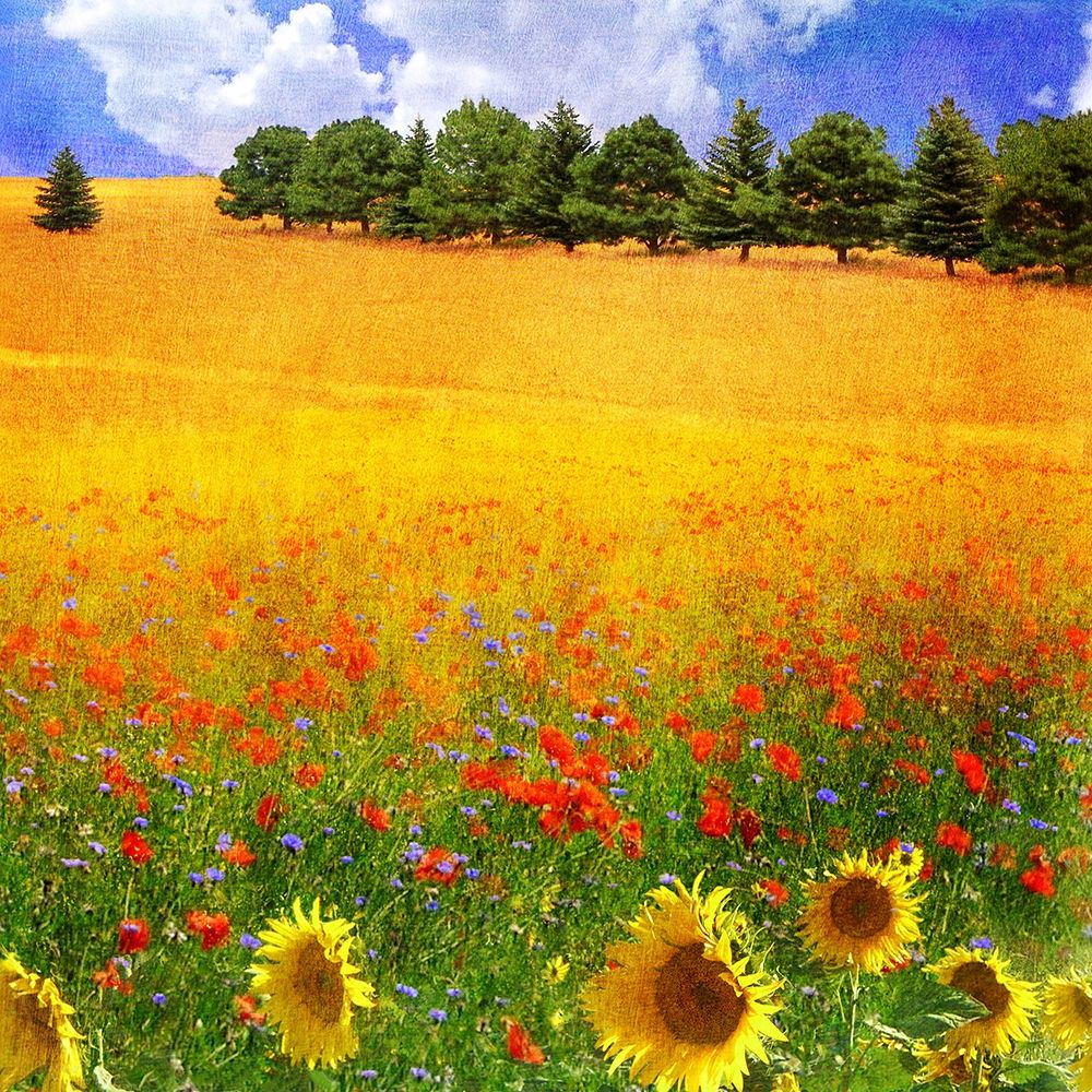 Lombardy III art print by Chris Vest for $57.95 CAD
