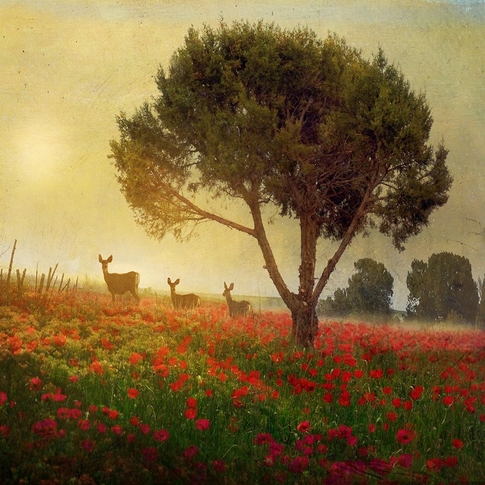 Trees Poppies Deer II art print by Chris Best for $57.95 CAD
