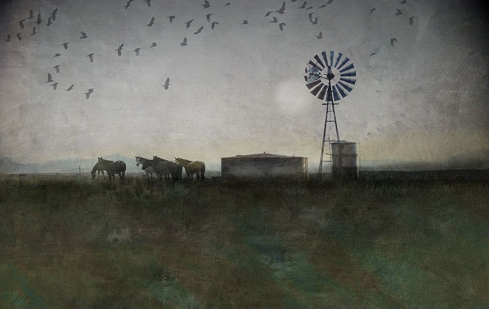 Horse and Crows art print by Chris Vest for $57.95 CAD