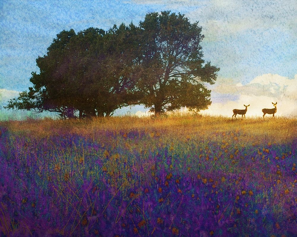 Tree Hill Flowers art print by Chris Vest for $57.95 CAD