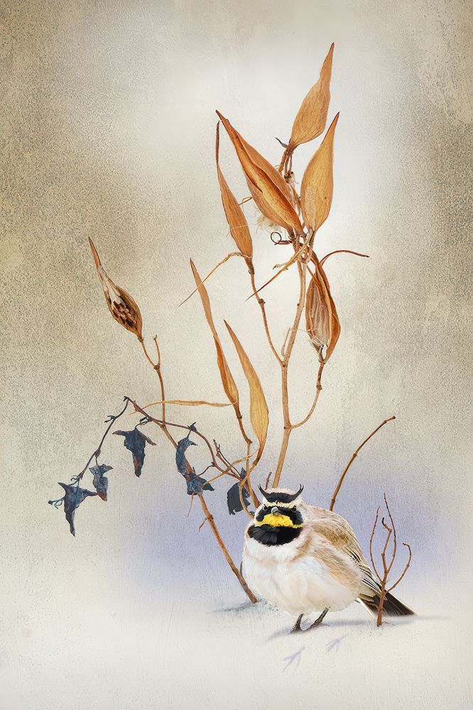 Morning in the snow art print by Alex Black for $57.95 CAD