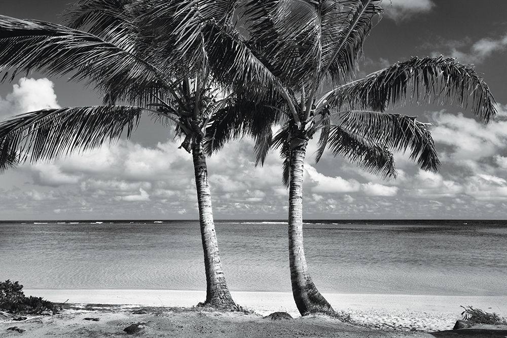 Summer Breezes I art print by Dennis Frates for $57.95 CAD