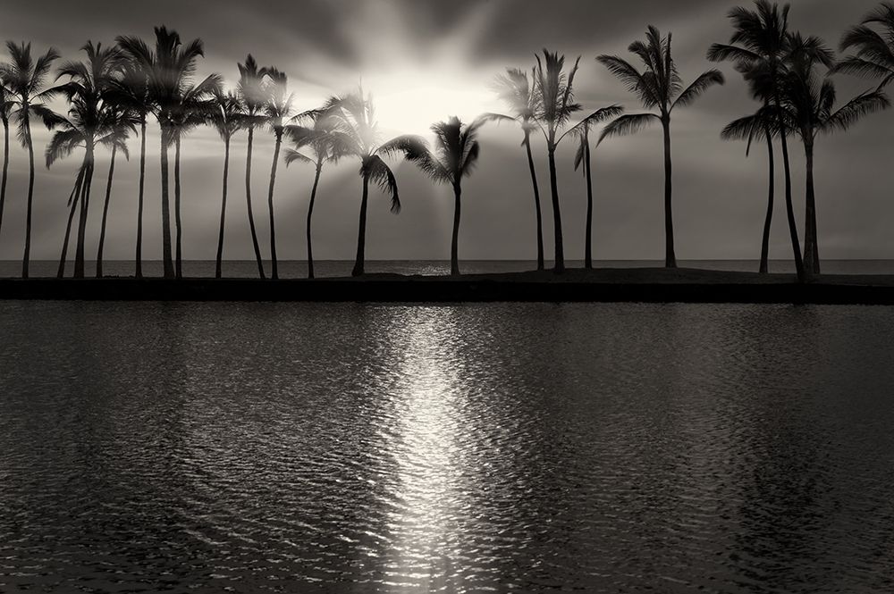 Summer Breezes III art print by Dennis Frates for $57.95 CAD
