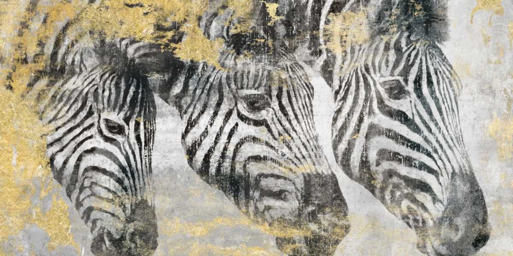 Zebra art print by Dina Peregojina for $57.95 CAD