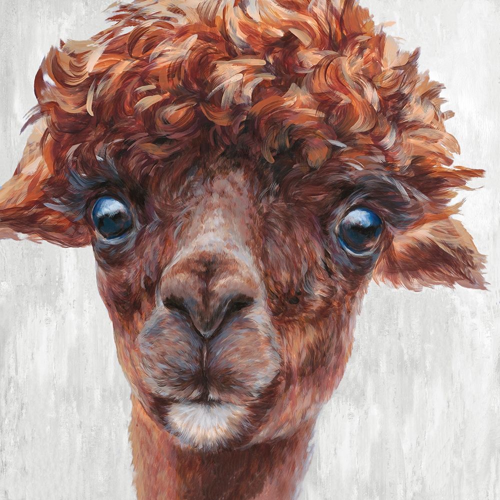 Alpaca I art print by Dina Perejogina for $57.95 CAD