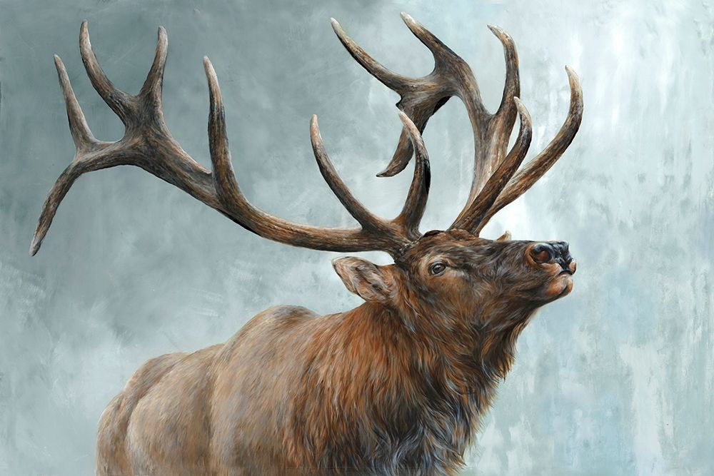 Rising Bull Elk art print by Dina Perejogina for $57.95 CAD