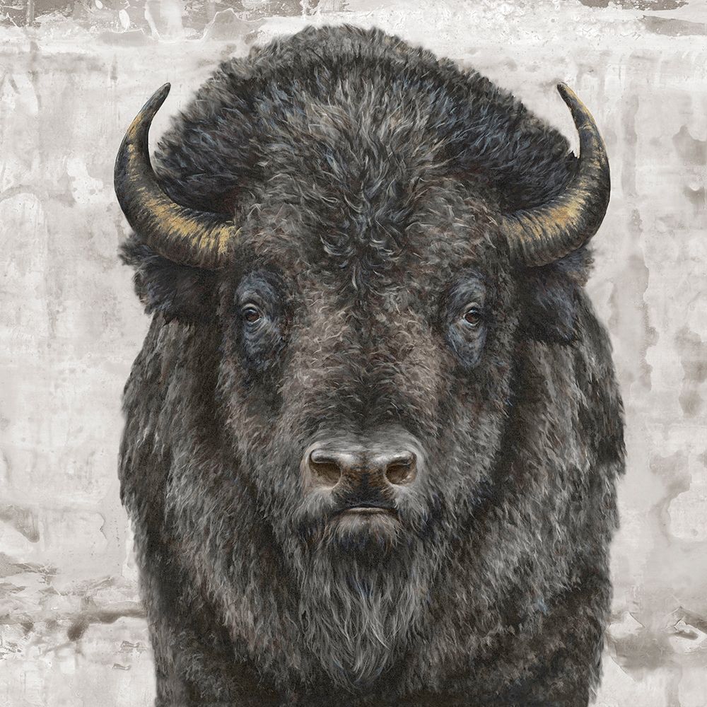 Bison Presence art print by Dina Perejogina for $57.95 CAD