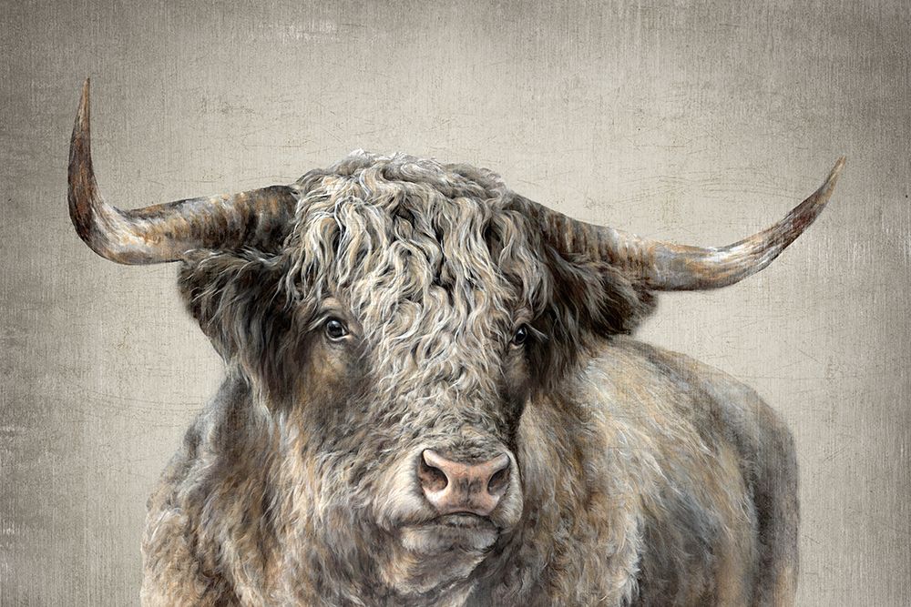 Grand Kyloe Bull art print by Dina Perejogina for $57.95 CAD
