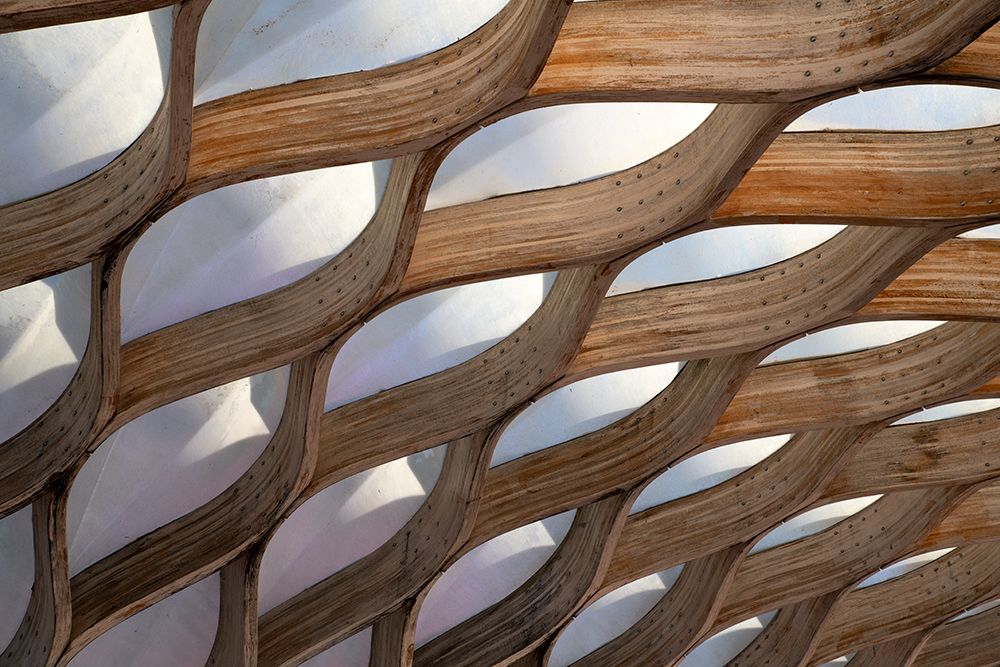 HONEYCOMB art print by Dmitry Kirshner for $57.95 CAD