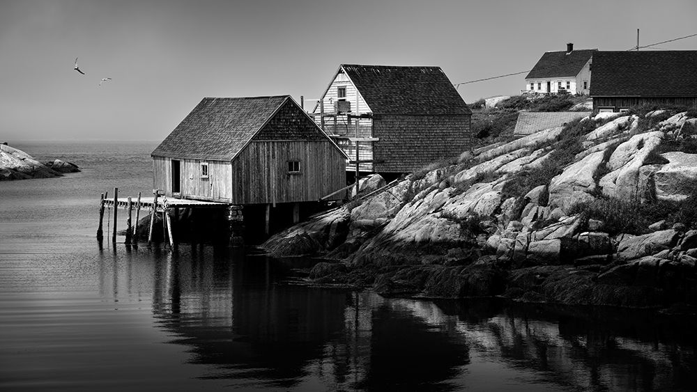 Life by the Sea art print by Dmitry Kirshner for $57.95 CAD