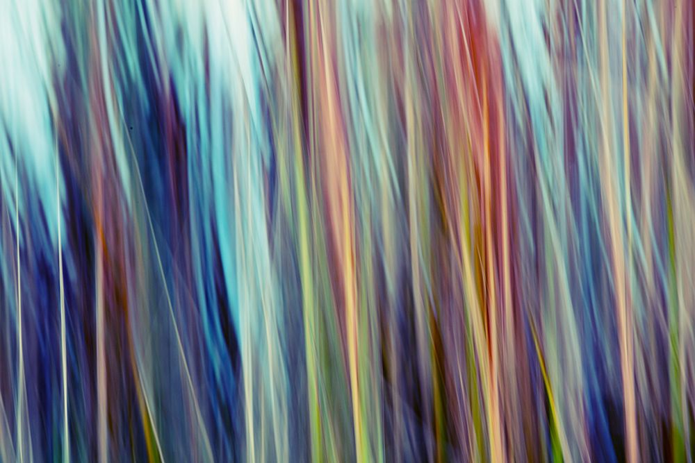 Colors of Canada III art print by SD Enterprises for $57.95 CAD