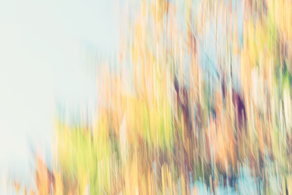 Back to September II art print by SD Enterprises for $57.95 CAD