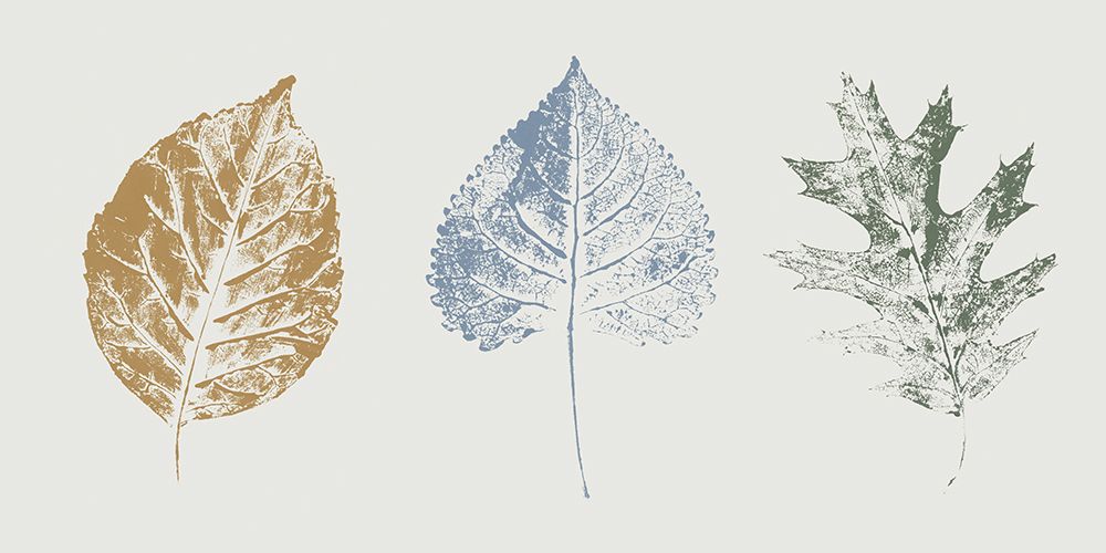 Fall Visions I art print by Sarah Leonard for $57.95 CAD