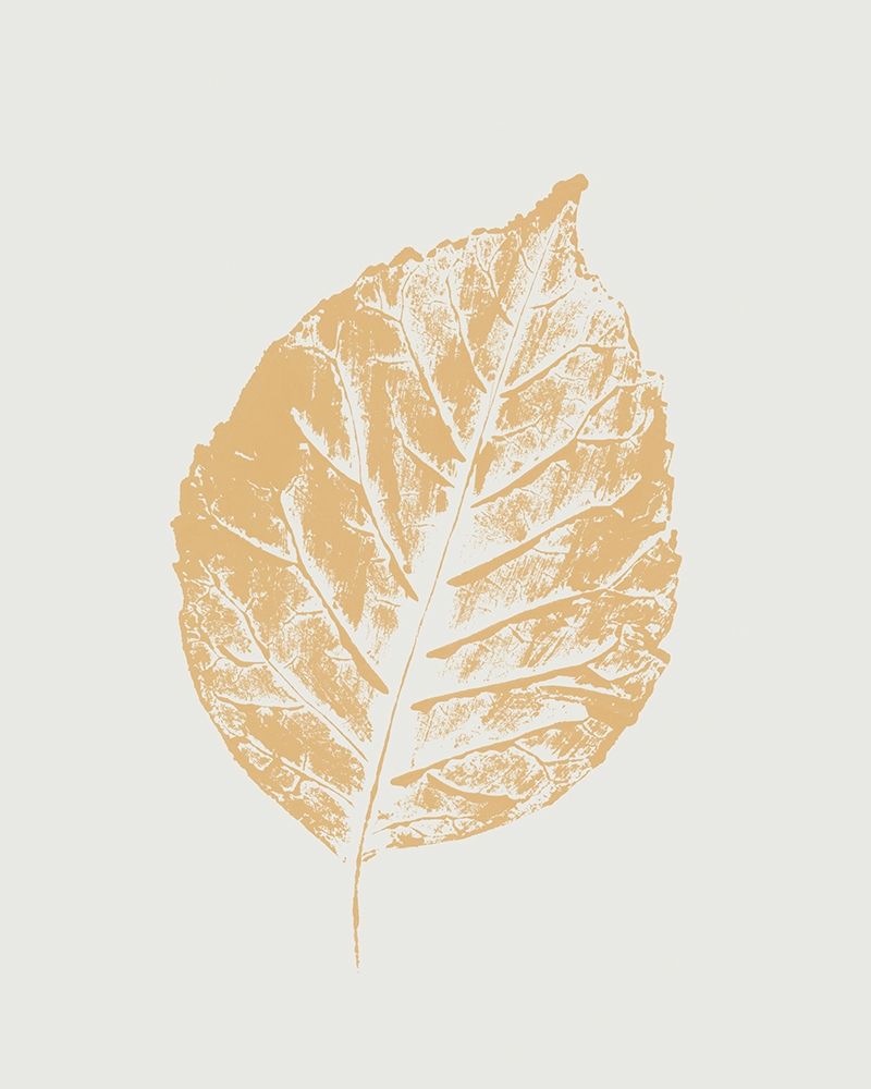 Colour Leaf Print I art print by Sarah Leonard for $57.95 CAD