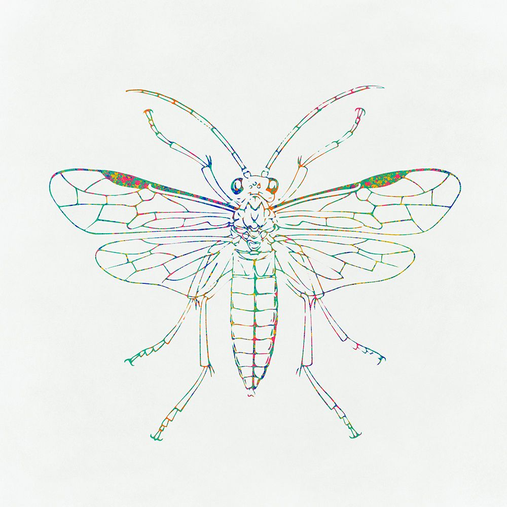 Insect Line art print by Sarah Leonard for $57.95 CAD