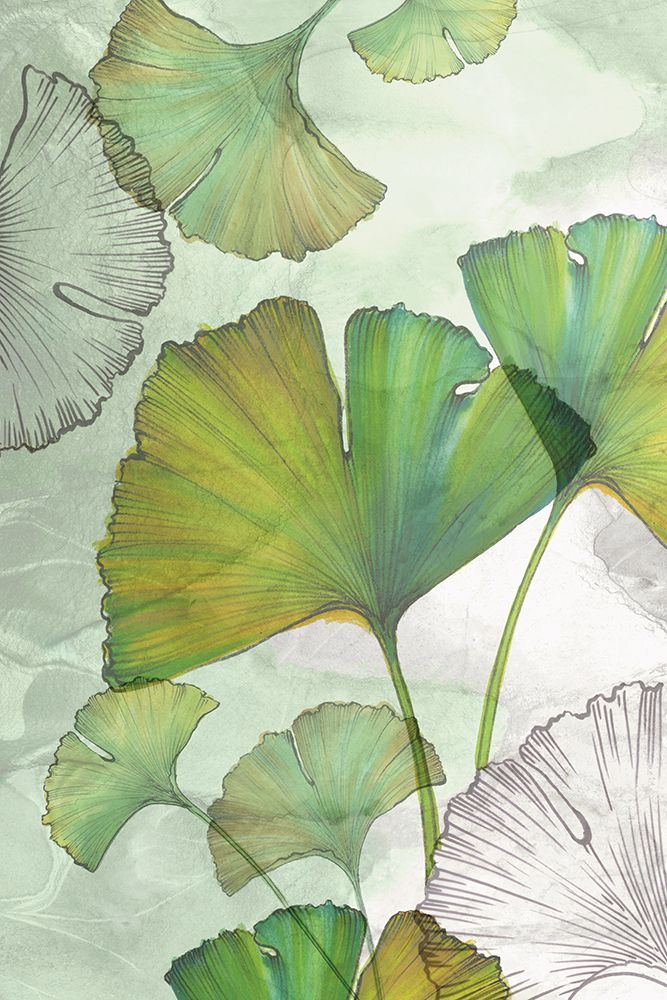 Ginkgo I art print by Eva Watts for $57.95 CAD