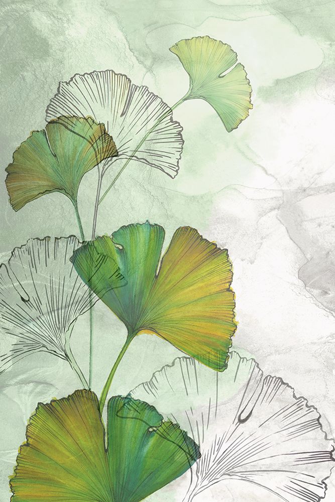 Ginkgo II art print by Eva Watts for $57.95 CAD