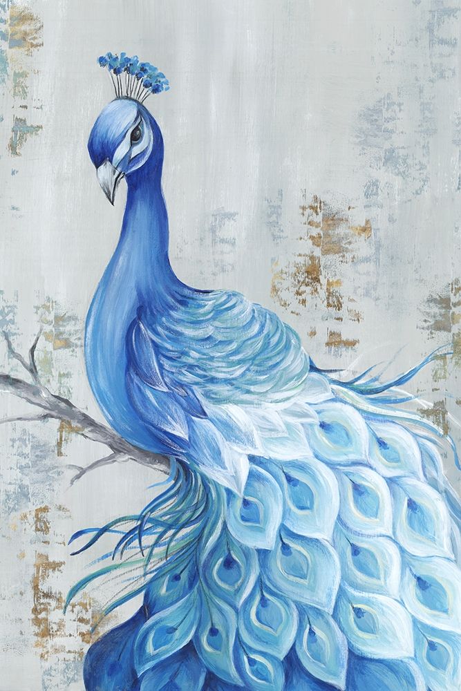 Peacock Paradise art print by Eva Watts for $57.95 CAD