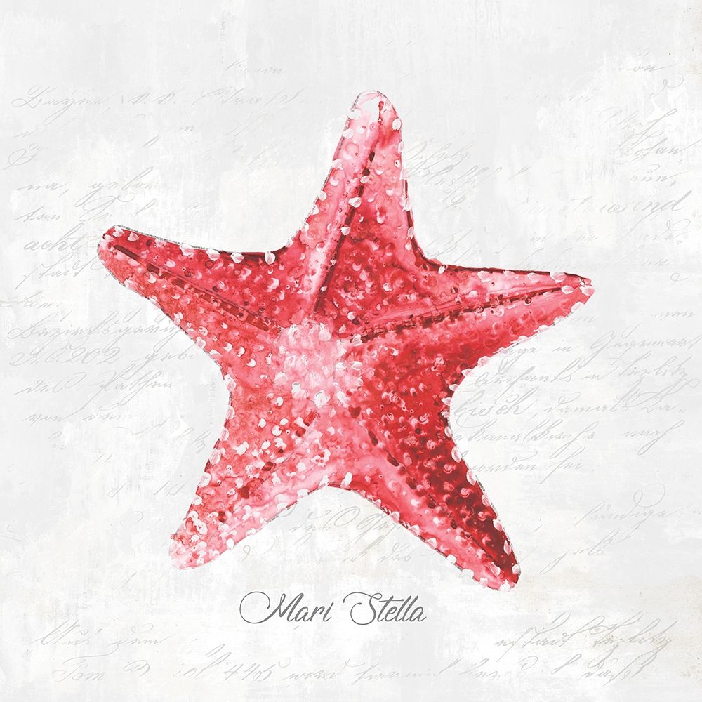 Red Starfish art print by Eva Watts for $57.95 CAD
