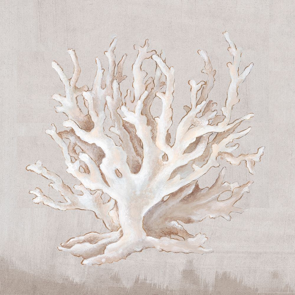Neutral Shells IV art print by Eva Watts for $57.95 CAD