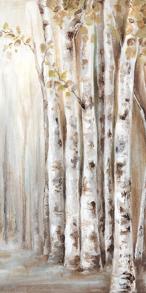 Sunset Birch Forest II art print by Eva Watts for $57.95 CAD
