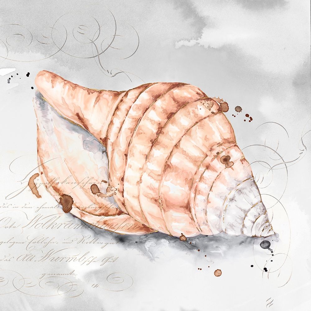 Blush Shell I art print by Eva Watts for $57.95 CAD