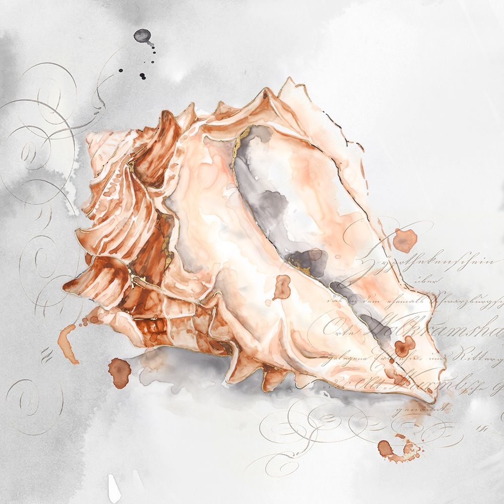Blush Shell III art print by Eva Watts for $57.95 CAD