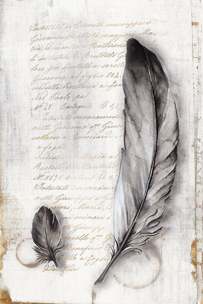 Vintage Feathers II art print by Eva Watts for $57.95 CAD