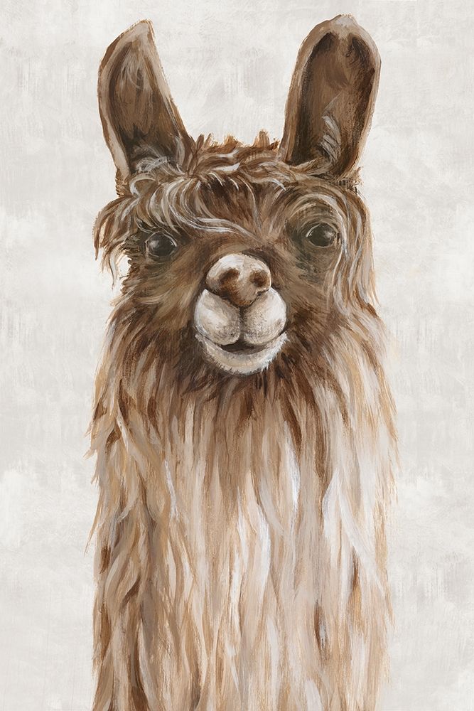 Suri Alpaca I art print by Eva Watts for $57.95 CAD