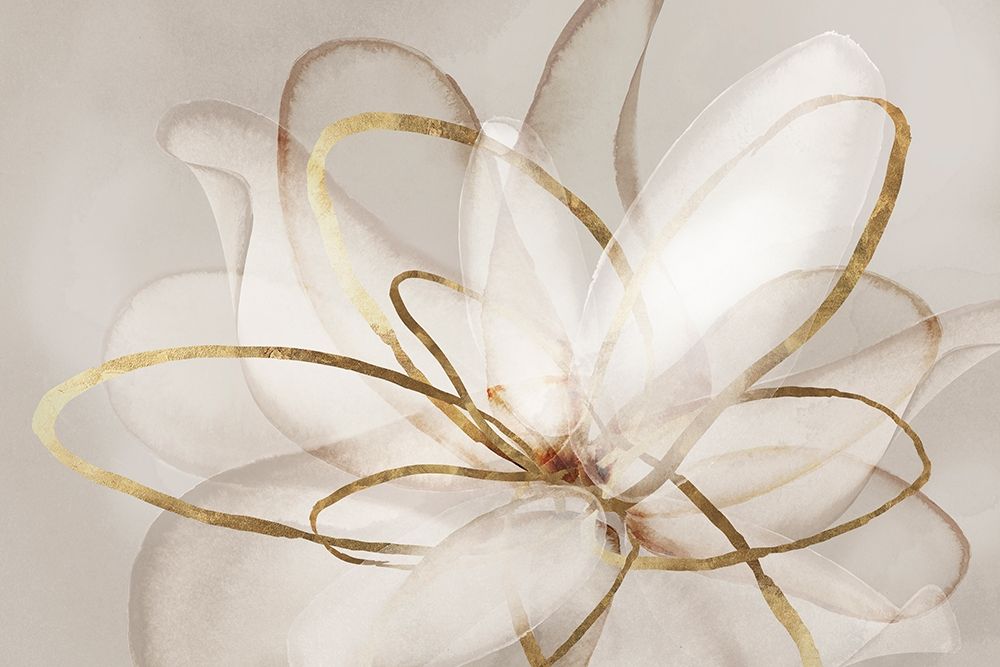 Transparent Beauty III art print by Eva Watts for $57.95 CAD