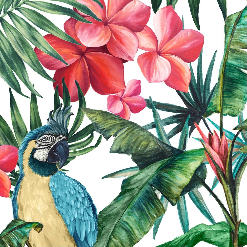 In the Tropics art print by Eva Watts for $57.95 CAD