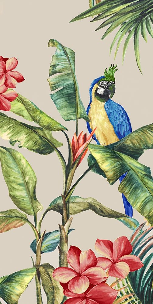 Tropicano II art print by Eva Watts for $57.95 CAD