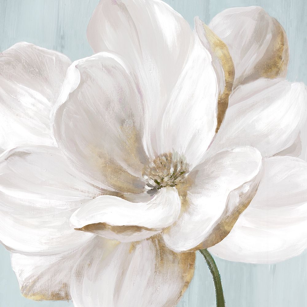 Soft White II art print by Eva Watts for $57.95 CAD