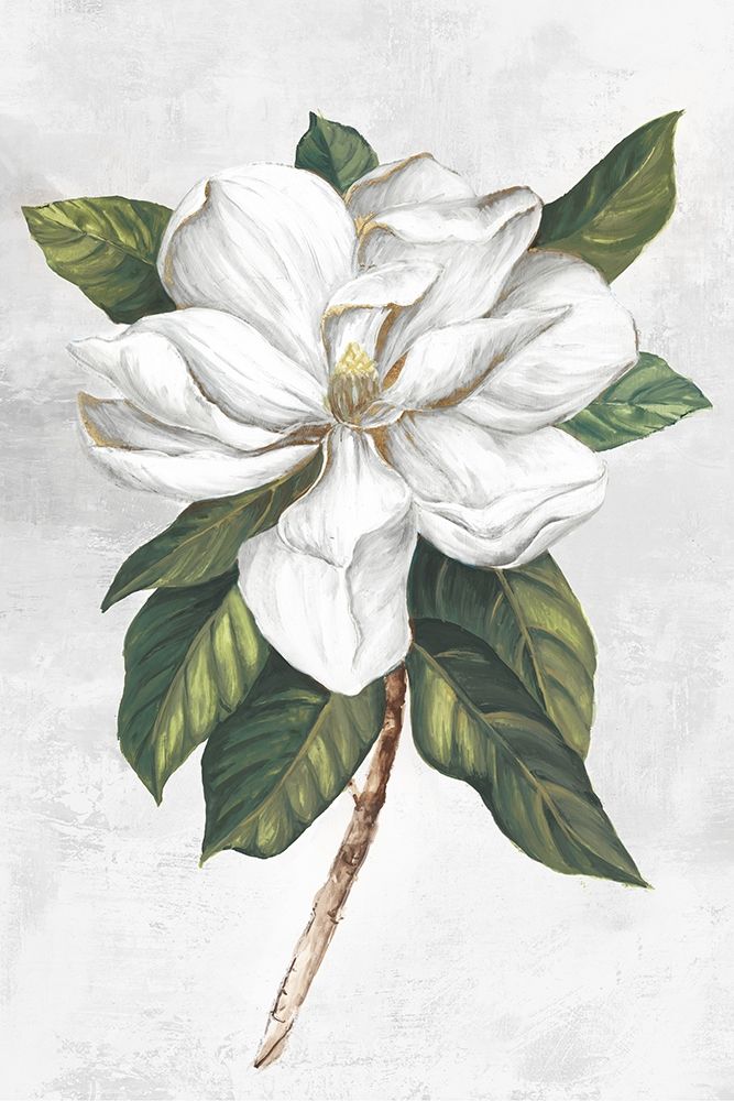 Pearly Beauty I art print by Eva Watts for $57.95 CAD