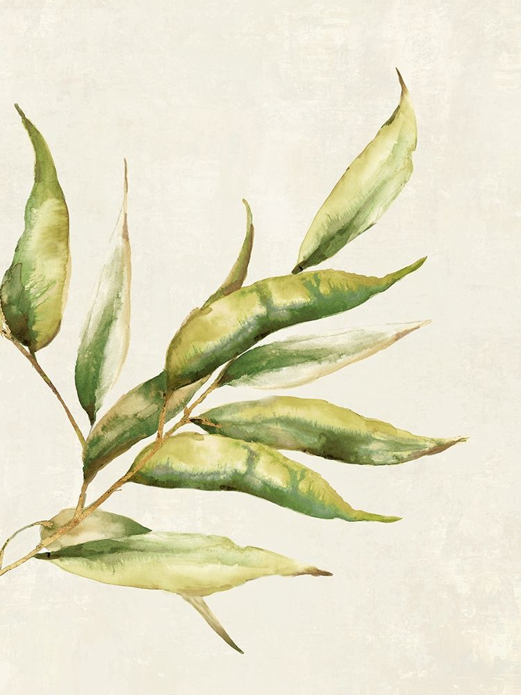 Willow Branch I art print by Eva Watts for $57.95 CAD