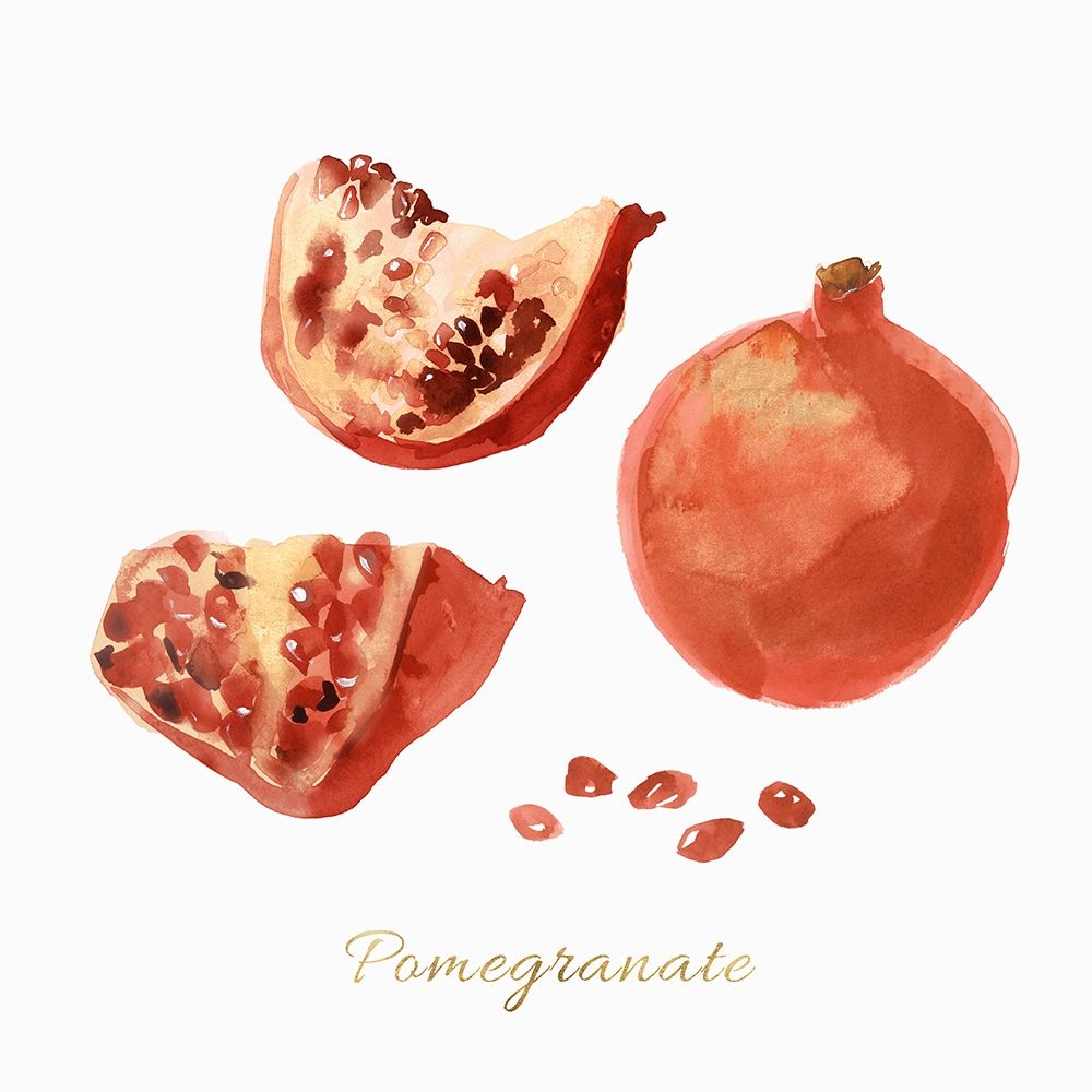 Pomegranate art print by Isabelle Z for $57.95 CAD
