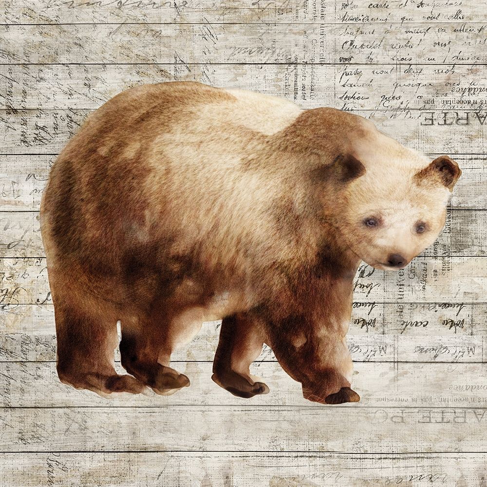 Crossing Bear I art print by Isabelle Z for $57.95 CAD