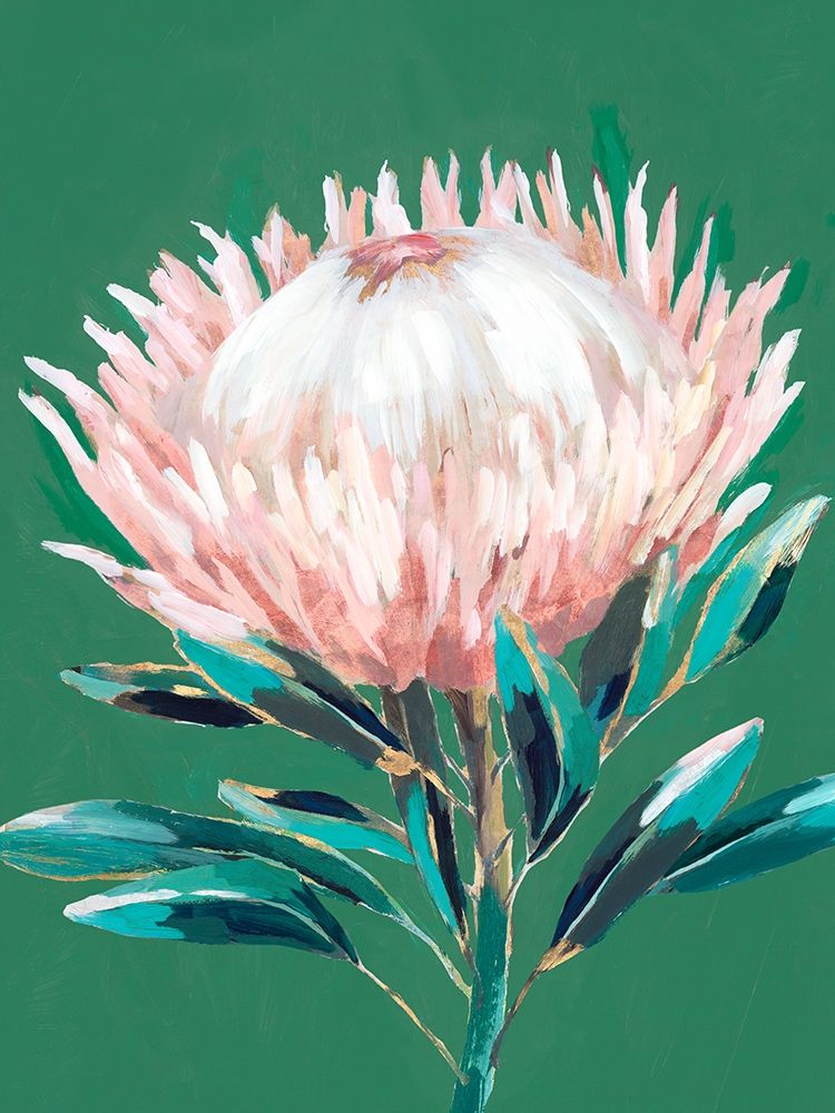 Single King Protea art print by Isabelle Z for $57.95 CAD