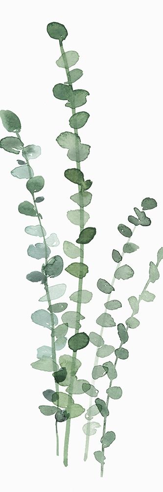 Fresh Eucalyptus art print by Isabelle Z for $57.95 CAD