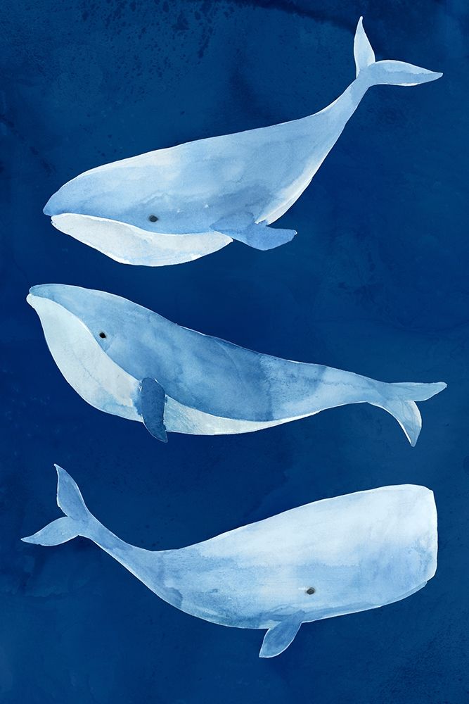 Silent Depth I art print by Isabelle Z for $57.95 CAD
