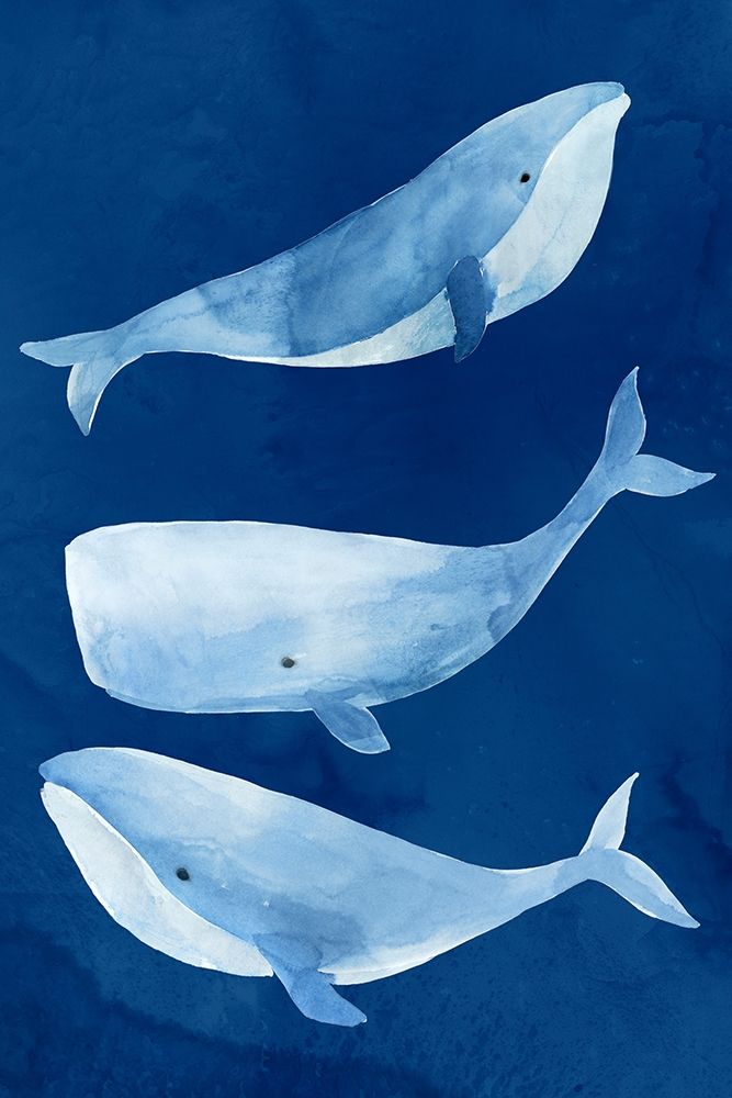 Silent Depth II art print by Isabelle Z for $57.95 CAD