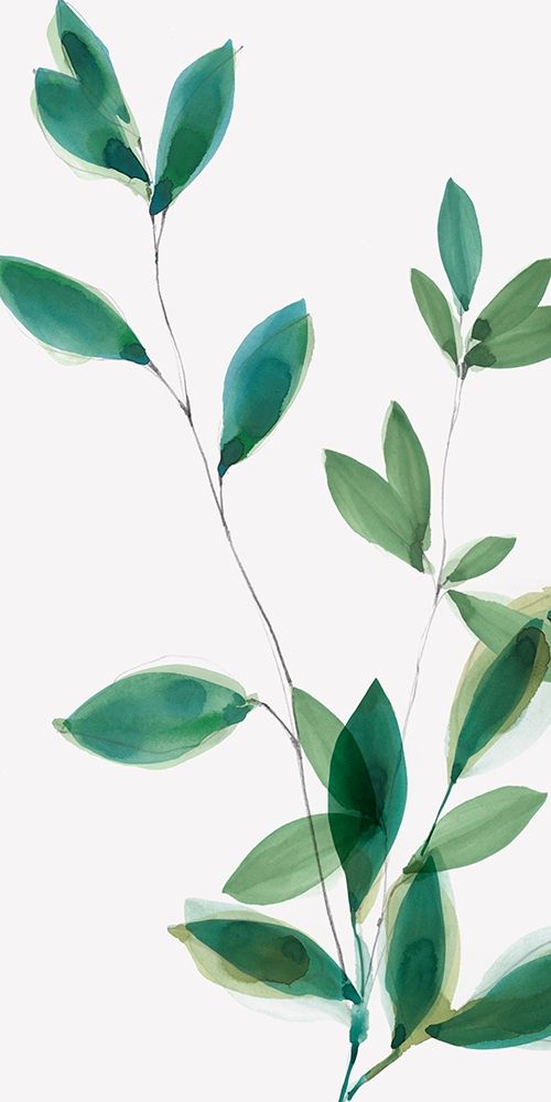 Growing Green I art print by Isabelle Z for $57.95 CAD