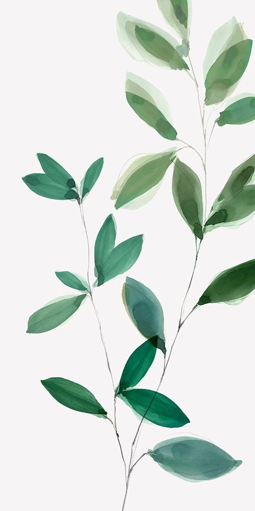 Growing Green II art print by Isabelle Z for $57.95 CAD