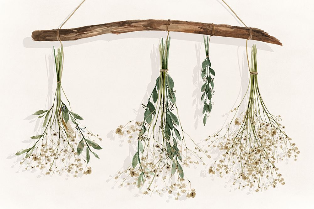 Drying Flowers art print by Isabelle Z for $57.95 CAD